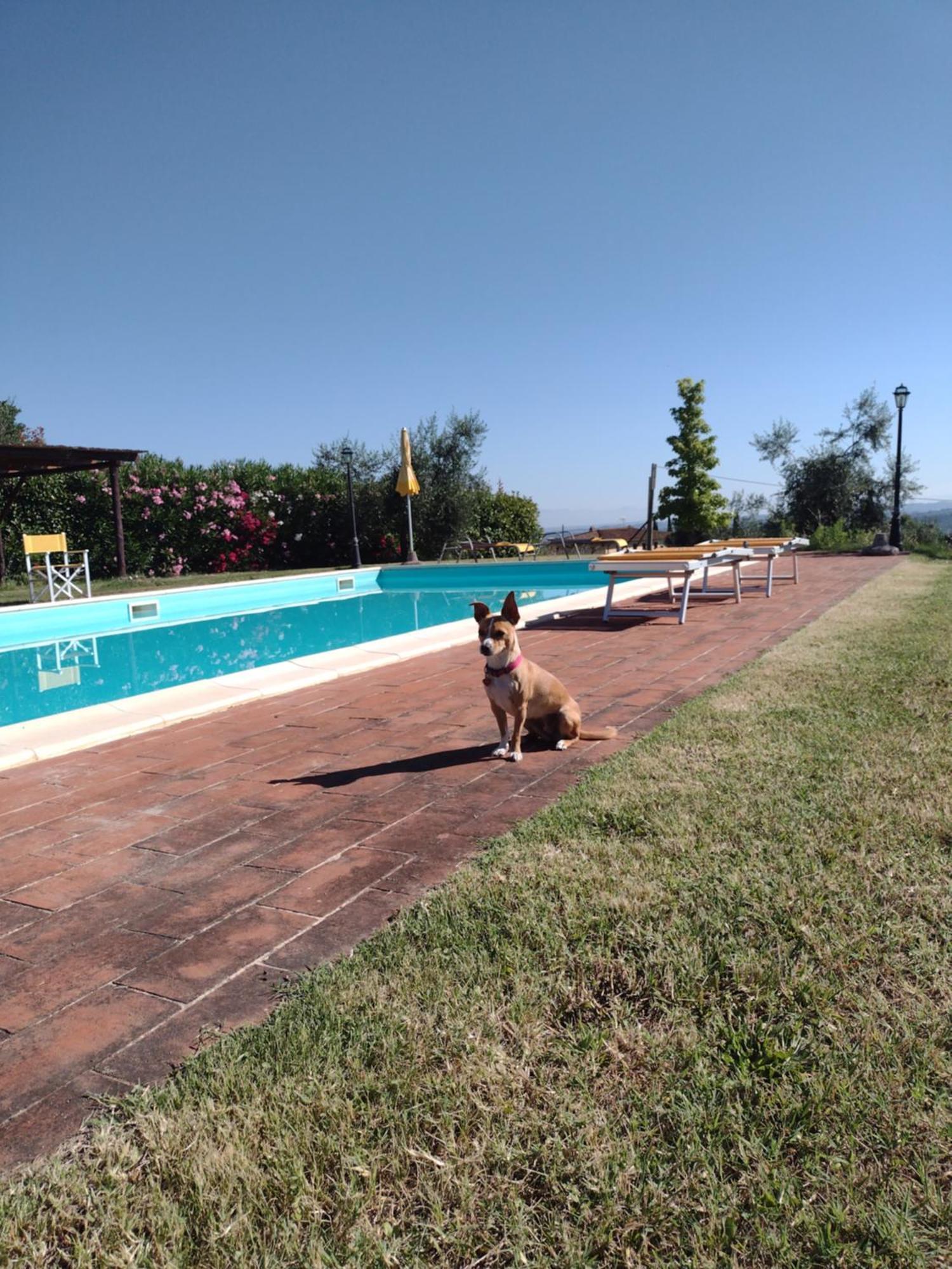 Le Pergoline B&B Кашиана-Терме Экстерьер фото