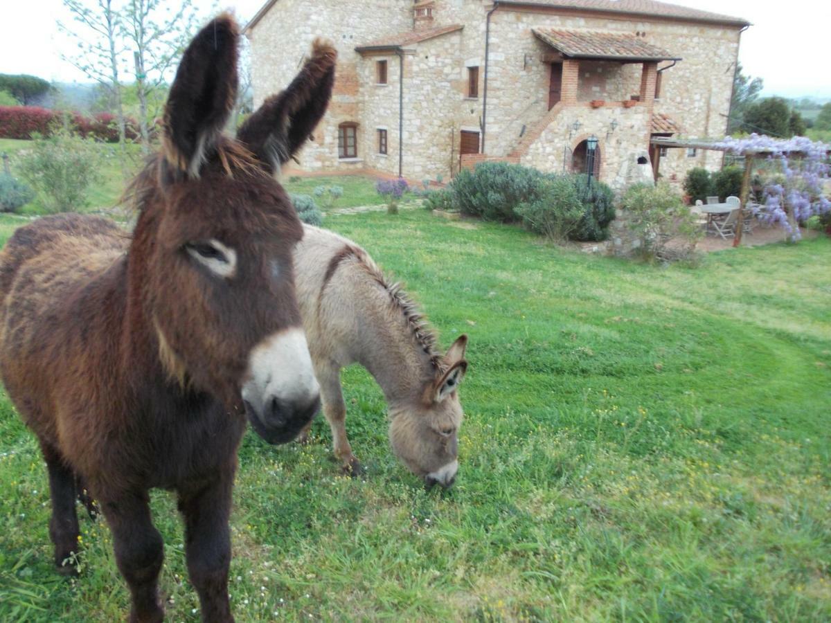Le Pergoline B&B Кашиана-Терме Экстерьер фото